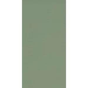 CO Olive Green Bright